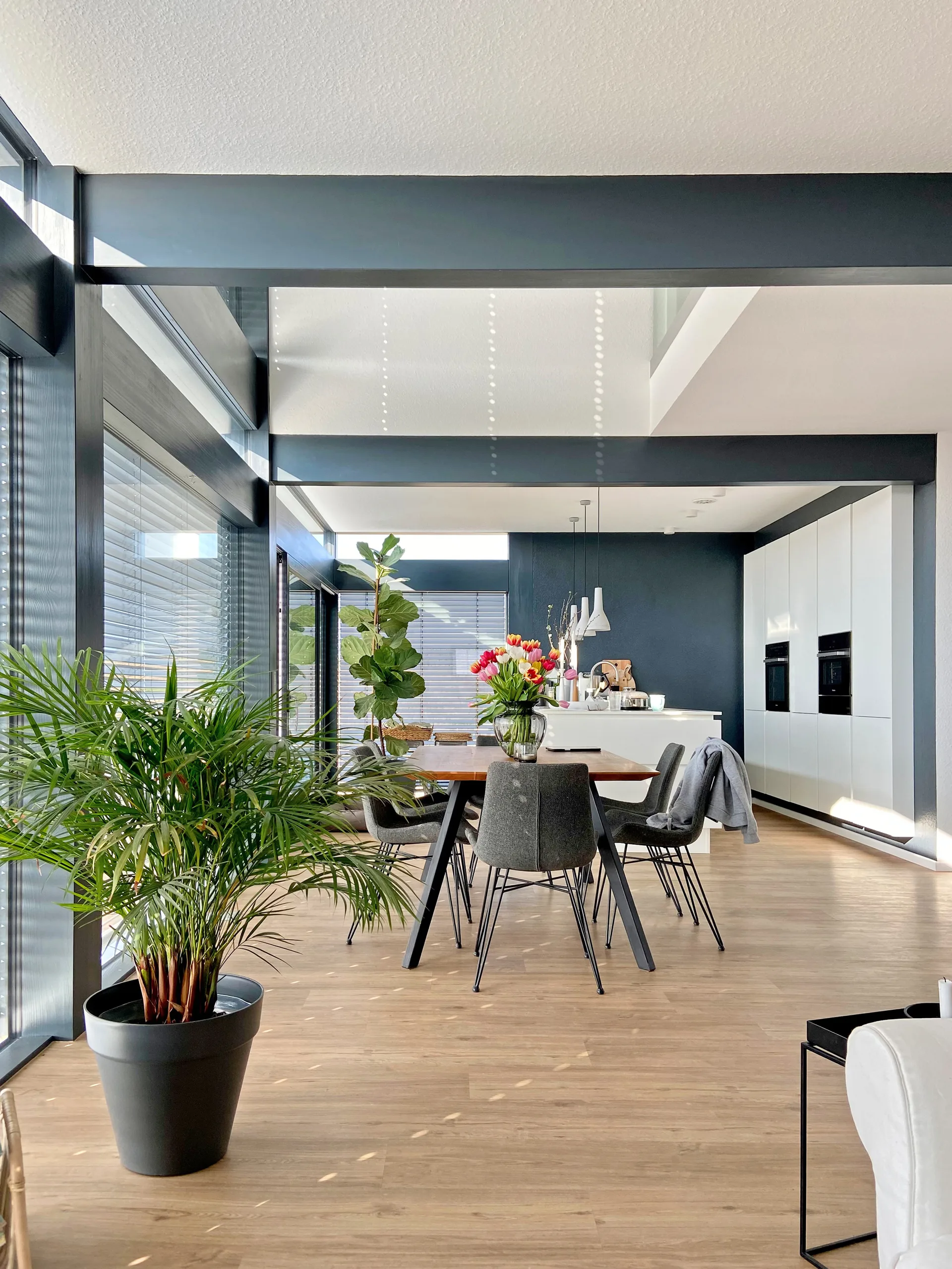 Effizienzhaus FUSION mit Carport von Meisterstueck Haus Sicht aus Wohnzimmer