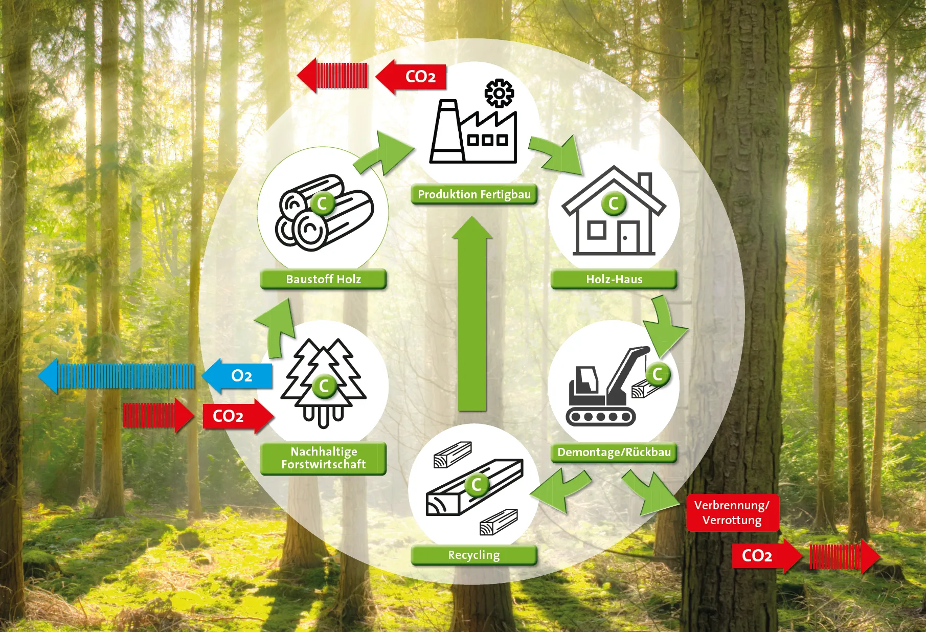 MH Kreislauf CO2 Holzhaus CO₂-Kreislauf Holzhaus